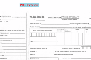 PNB RTGS Form