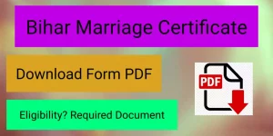 Bihar Marriage Certificate Form PDF