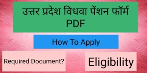 उत्तर प्रदेश विधवा पेंशन फॉर्म PDF | UP Widow Pension Form PDF in Hindi